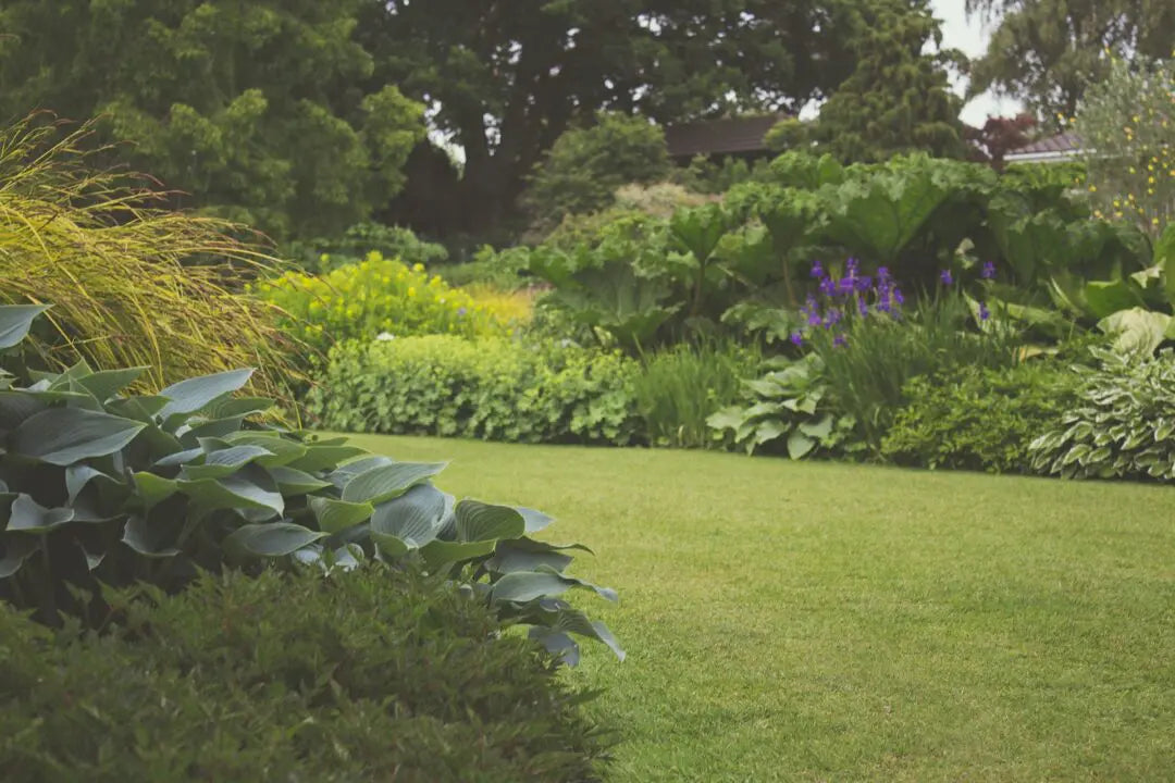 4 Garden Maintenance Tasks For June
