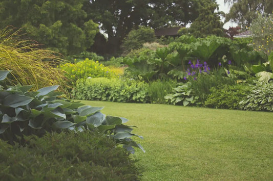 4 Garden Maintenance Tasks For June