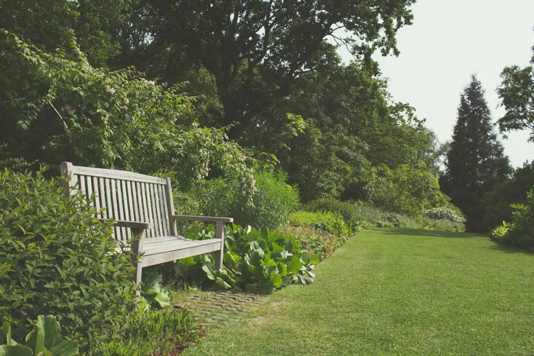 What Garden Maintenance Can You Complete In May