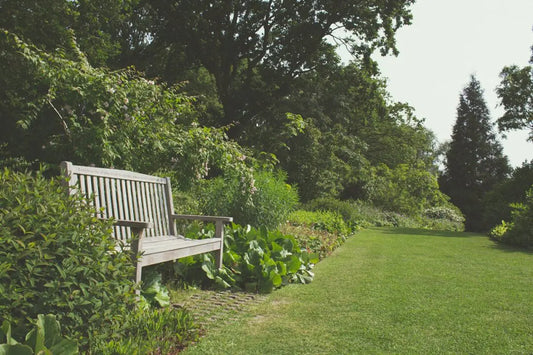 What Garden Maintenance Can You Complete In May