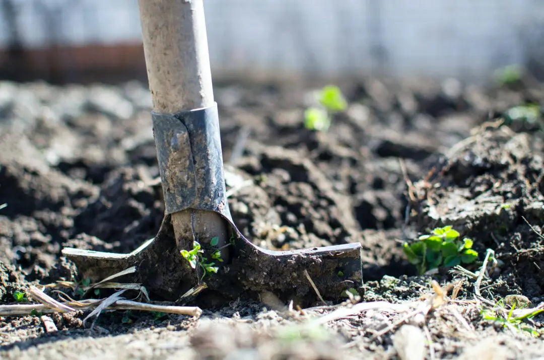 Take Care Of Your Garden Without Breaking The Bank