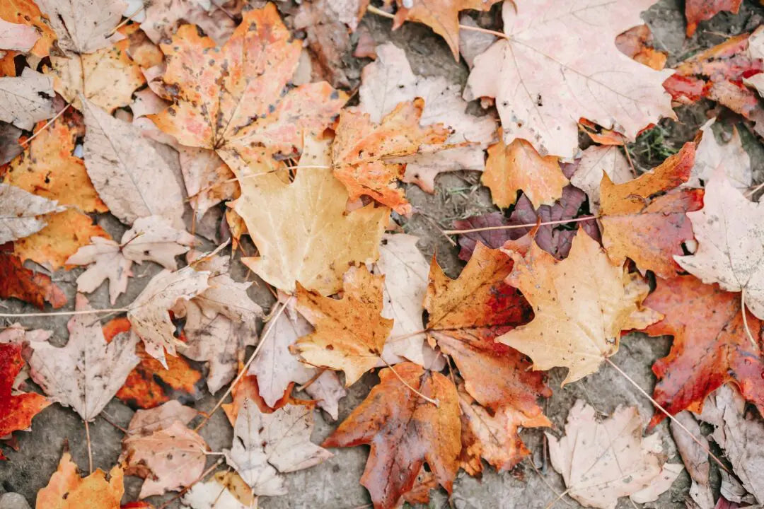 The Pros And Cons Of Leaf Hands