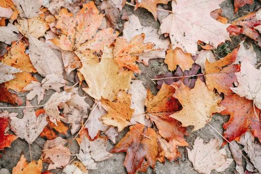 The Pros And Cons Of Leaf Hands
