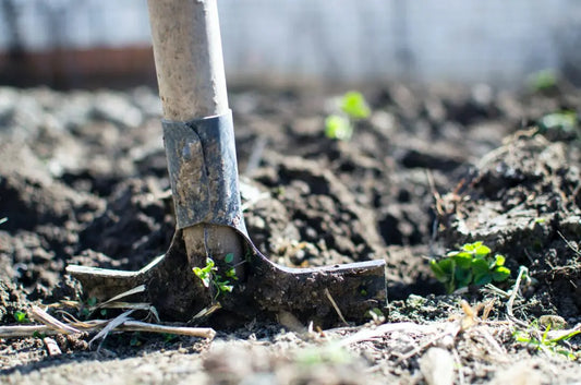 Take Care Of Your Garden Without Breaking The Bank